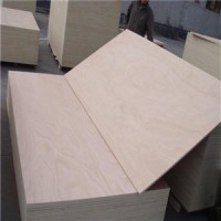 Plywood for Deoration/Commerical Plywood/Bintago/Poplar Core 4*8FT