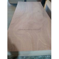 4.5mm Sapele faced plywood for Thailand