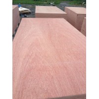 9mm/12mm/18mm Bintangor/Okoume WBP Plywood for Furniture and Decoration