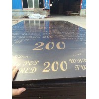 18mm Brown Film Faced Plywood Manufacturer (w16014)