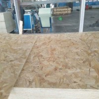 Cheap Price 8X1220x2440mm OSB