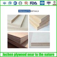 Customized Reused 8-10 Times Film Faced Plywood for Construction