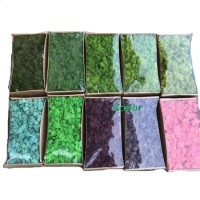 Factory Cheap Wholesale Artifiical Moss for Wall Decoration