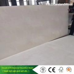 Birch/Film Faced/Commercial Plywood Used for Furniture/Building Material图1