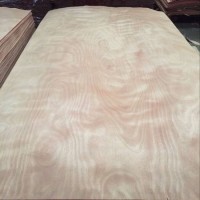 Factory Supply Natural Wood Log Face Veneer Rotary Cut Timber Veneer for Okoume Face Veneer