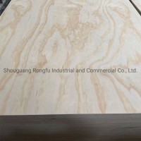 Poplar Plywood/Commercial Plywood/Furniture Used Plywood