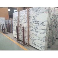 Top Quality Imported Arabescato Corchia White Marble Polished Slab for Countertop Vanitytop Building