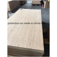 Bamboo Plywood Sheets and Panels as Home Furniture and Building Materials