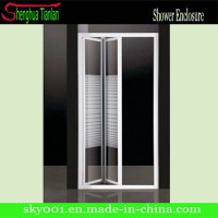 Hot Bathroom Sliding Folding Shower Door (TL-417)