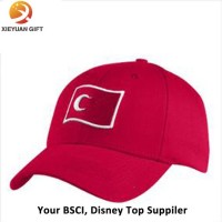 Comfortable Embroidery Printed Logo Flat Cap/Hip Hop Cap