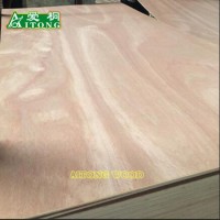 Okoume/Bintangor/Pine/Teak/Red Oak Plywood Used for Furniture or Decoration