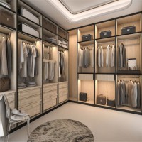 Custom-Made Luxury Walk-in Closet/Wardrobe for Villa and Large-Size Apartment