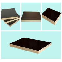 Shuttering Plywood/Marine Plywood/Waterproof Plywood/Concrete Formwork Film Faced Plywood for Constr