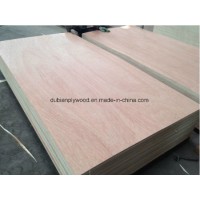 Competitive Price Bintangor Commercial Plywood