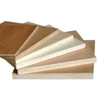 Plywood/Commercial Plywood/Common Plywood/Birch Face Plywood/ Pine Wood Produts/ Okoume F/B Plywood