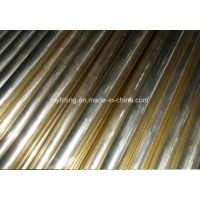 High Quality Aluminum Brass Tube C68700 ASTM B111 / JIS H3300 / BS En12451 for Oil Well Pump Liner