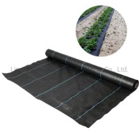 PP Agriculture Weed Barrier Ground Cover for Blueberry Weed Control Fabric Mat