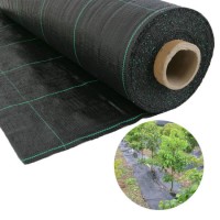 China Factory Supply Plastic Weed Matting Weed Matting Orchard Weed Matting