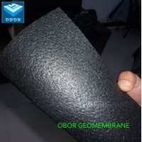 Best Quality GB/ASTM Gri-GM13 Standard HDPE Geomembrane Agricultural Film with Direct Factory Price