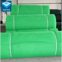 Plastic Tri-Dimension Composite Geonet / Geomat Drainage Erosion Control Geocomposites Factory Price