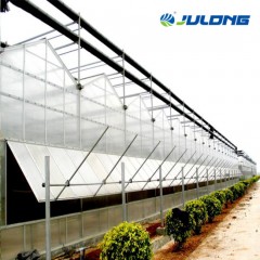 Agriculture Venlo Multi Span Polycarbonate Sheet Greenhouse with Cooling Pad for Tomato/Lettuce/Pepp图1