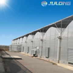 China Hydroponics System Greenhouse for Strawberry Planting House图1