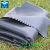 0.2mm 0.3mm 0.5mm 0.75mm 1.0mm Impermeable HDPE Pond Membrane Pool Liner with Direct Factory Price C