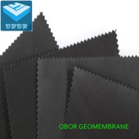 20mil 40mil 50mil 60mil 80mil 100mil Anti-Aging HDPE Geomembrane Agricultural Film with Direct Facto