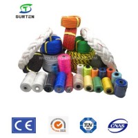 EU Standard PP/PE/HDPE/Nylon/Polyethylene/Polypropylene/Polyester/Plastic/Twist Twisted/Braided/Brai