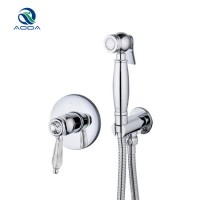 Brass Bidet Faucet Mixer with Hand Shower (BM-6011)