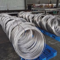 Seamless Stainless Steel Coil Tube