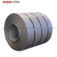 AISI 304 1.4301 Hot Rolled Stainless Steel Coil Strip