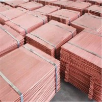 Grade AA Copper Cathodes / 99.99% Pure Copper Cathode / Copper Plate with Cheap Price