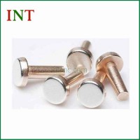 Silver Electrical Contact Bimetal Rivets