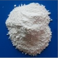 Manufacturer Suply Food Grade Preservative Sodium Propionate Price