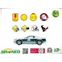 Car Magnets  Promotional Car Sign Magnets