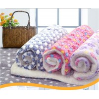 Pet Supplies Dog Blanket Washable Pet Blanket Bed Mat Warm Sleeping Mattress Super Warm and Soft Fle