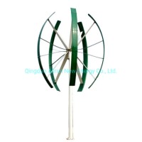 Single Phase 5PCS Blades Wind Mill 20kw 10kw 5kw off Grid on Grid Vertical Wind Turbine with Magneti