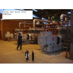 Palm Kernel Shell Rice Husk Biomass Gasification Power Plant Pyrolysis Syngas Generation Plant in In图1