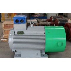 300kw Permanent Magnet Generator Alternator 20rpm 30rpm 50rpm 350rpm Free Energy Low Speed Low Rpm f图1