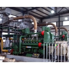 1MW  2MW  3MW  5MW  10MW Natural Gas Electricity Generating Unit Gas Generator Power Plant图1