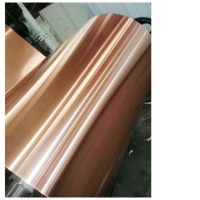 CCA Copper Clad Aluminum China Coil Strip