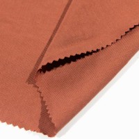 Solid 90% Lyocell/Tencel 10%Linen Fabric for Dress Pants Skirt