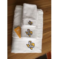 Customized Size 100% Cotton Embroidered Face Towel Hand Towel Bath Towel