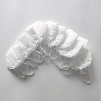 Disposable Dust Mask with Earloop Non Woven Dust Mask