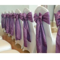 Spandex Chair Cover with Bowknot (DPFR80133)