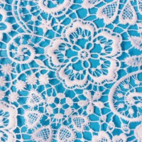 Chemical Fabrics Fashion Lace Lace