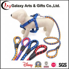 Climbing Rope Dog Leash Cusotm Polyester Rope Large Breed Leash for Sale图1