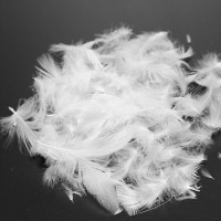 RDS 2-4cm Washed White Goose/Duck Feathers