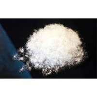 60% Washed White Goose Feather Low Price Wholesale Filling Material Cheap Price